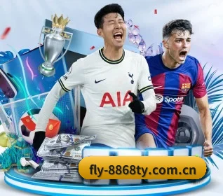 fly-8868ty.com.cn APP 界面